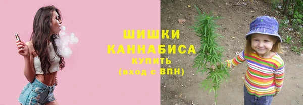 индика Зерноград