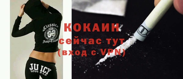 индика Зерноград