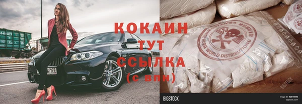 индика Зерноград