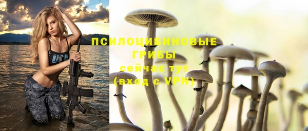 индика Зерноград