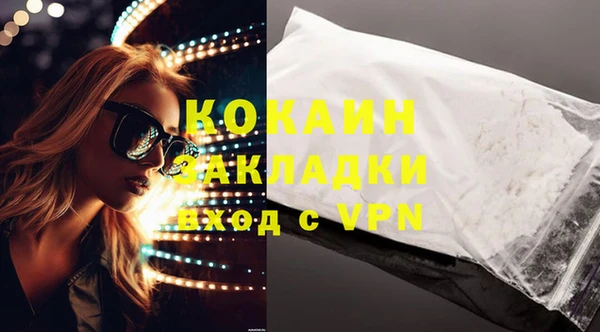 индика Зерноград