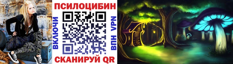 Псилоцибиновые грибы Psilocybe  Купить закладки  Алушта 