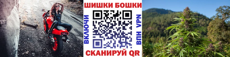 Купить  Алушта  Конопля гибрид 